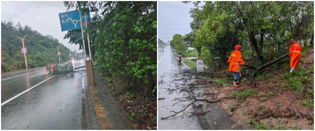 管養(yǎng)路段永安路、綿梓路.png